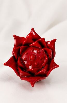 名前